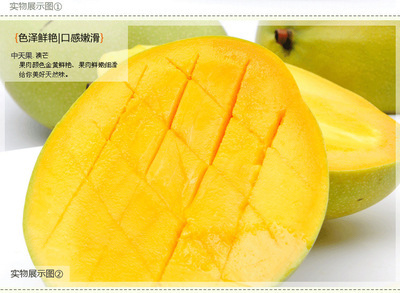 海南澳芒 熱帶陽光的黃金饋贈，美容養顏的自然密碼